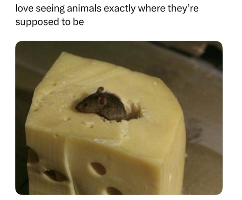 love seeing animals exactly where they're supposed to be