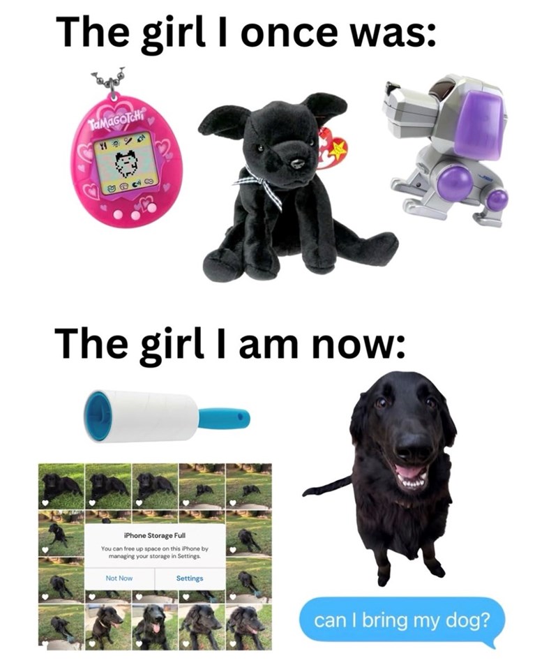 The girl I once was: TAMAGOTCHI The girl I am now: iPhone Storage Full You can free up space on this iPhone by managing your storage in Settings. Not Now Settings can I bring my dog?