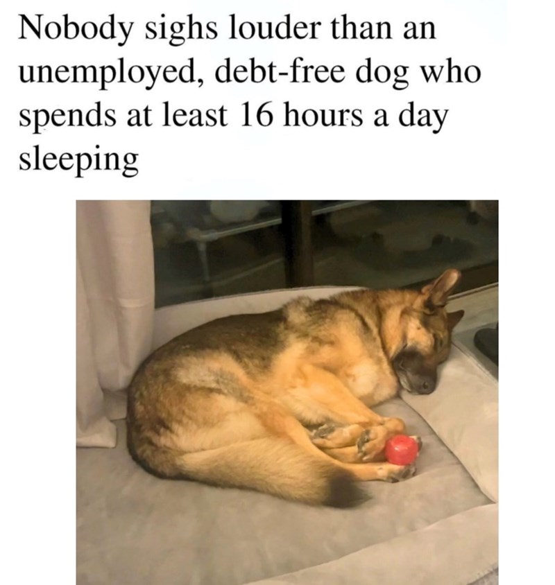 Nobody sighs louder than an unemployed, debt-free dog who spends at least 16 hours a day sleeping
