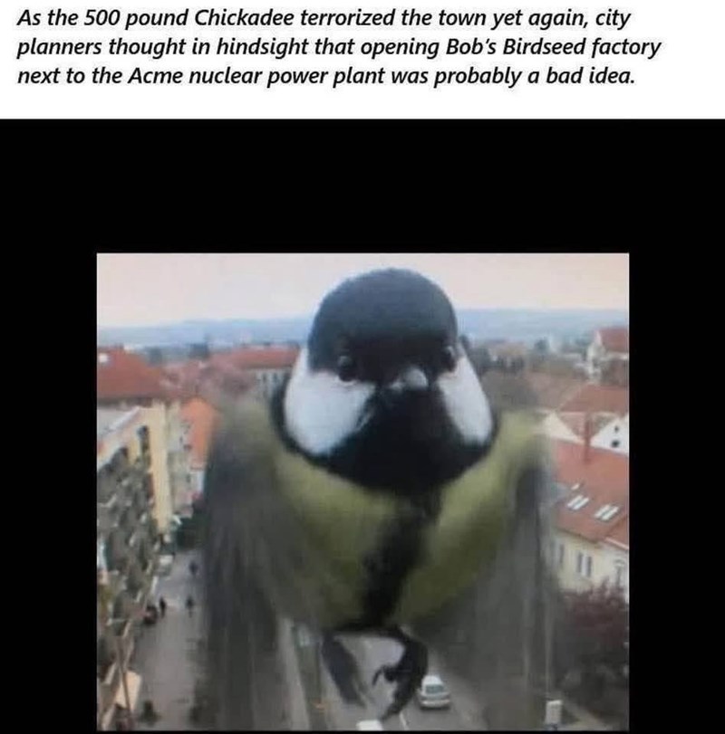 As the 500 pound Chickadee terrorized the town yet again, city planners thought in hindsight that opening Bob's Birdseed factory next to the Acme nuclear power plant was probably a bad idea.