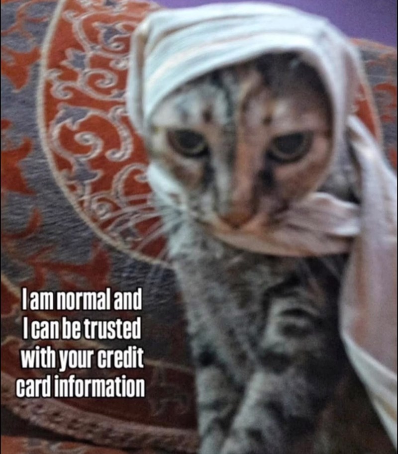 I am normal and I can be trusted with your credit card information