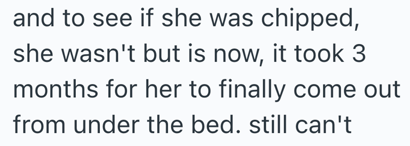 and to see if she was chipped, she wasn't but is now, it took 3 months for her to finally come out from under the bed. still can't