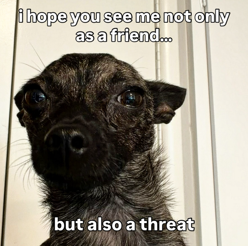i hope you see me not only as a friend... but also a threat