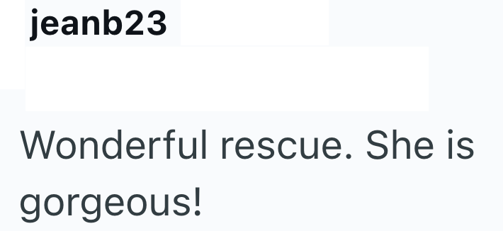 jeanb23 Wonderful rescue. She is gorgeous!