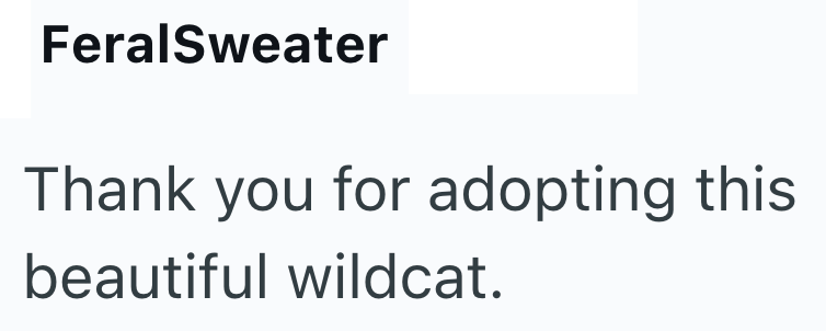 FeralSweater Thank you for adopting this beautiful wildcat.