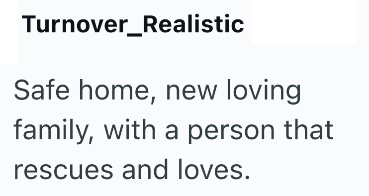 Turnover_Realistic Safe home, new loving family, with a person that rescues and loves.