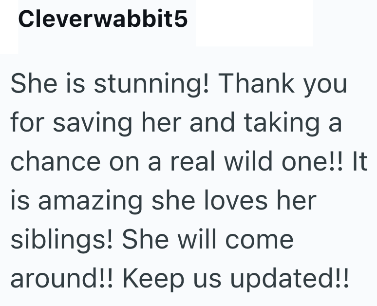 Cleverwabbit5 She is stunning! Thank you for saving her and taking a chance on a real wild one!! It is amazing she loves her siblings! She will come around!! Keep us updated!!