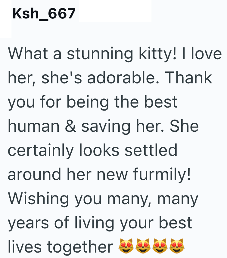 Ksh_667 What a stunning kitty! I love her, she's adorable. Thank you for being the best human & saving her. She certainly looks settled around her new furmily! Wishing you many, many years of living your best lives together
