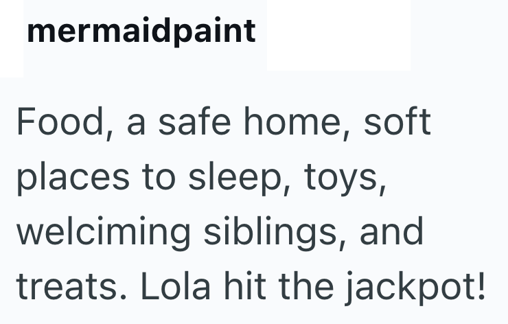 mermaidpaint Food, a safe home, soft places to sleep, toys, welciming siblings, and treats. Lola hit the jackpot!