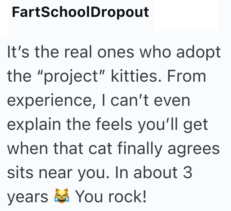 FartSchoolDropout It's the real ones who adopt the "project" kitties. From experience, I can't even explain the feels you'll get when that cat finally agrees sits near you. In about 3 years You rock!