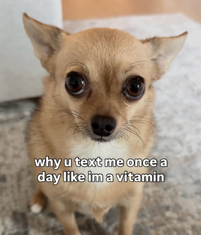 why u text me once a day like im a vitamin