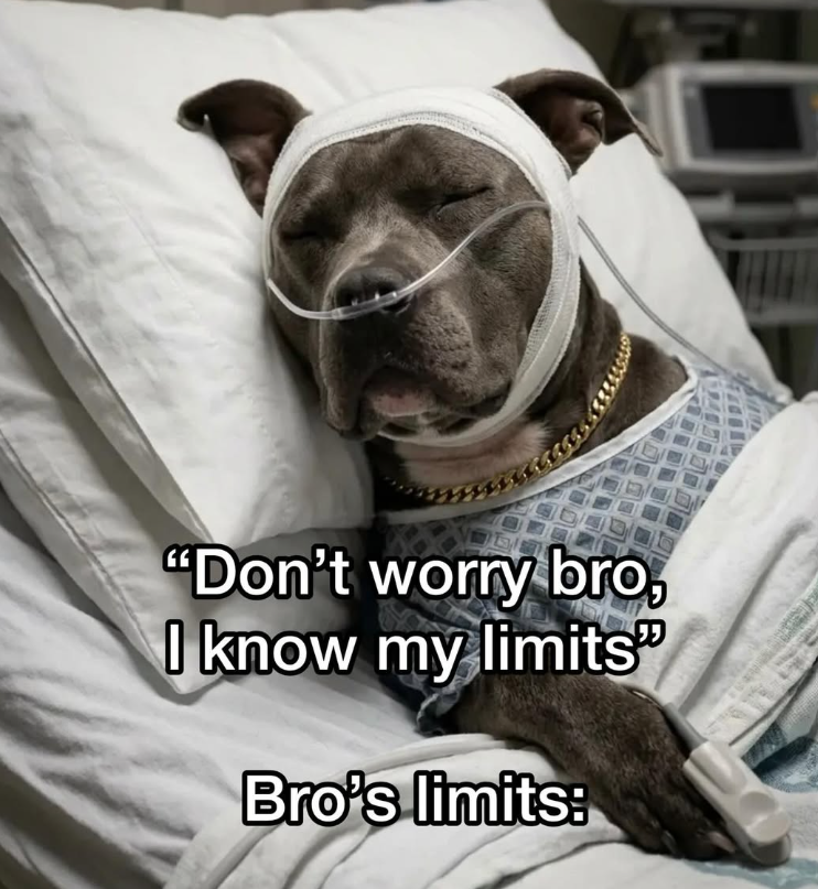 "Don't worry bro, I know my limits Bro's limits: