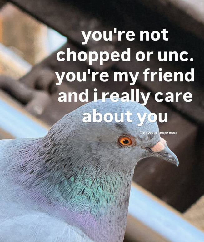 you're not chopped or unc. you're my friend and i really care about you Gnewyorkespresso