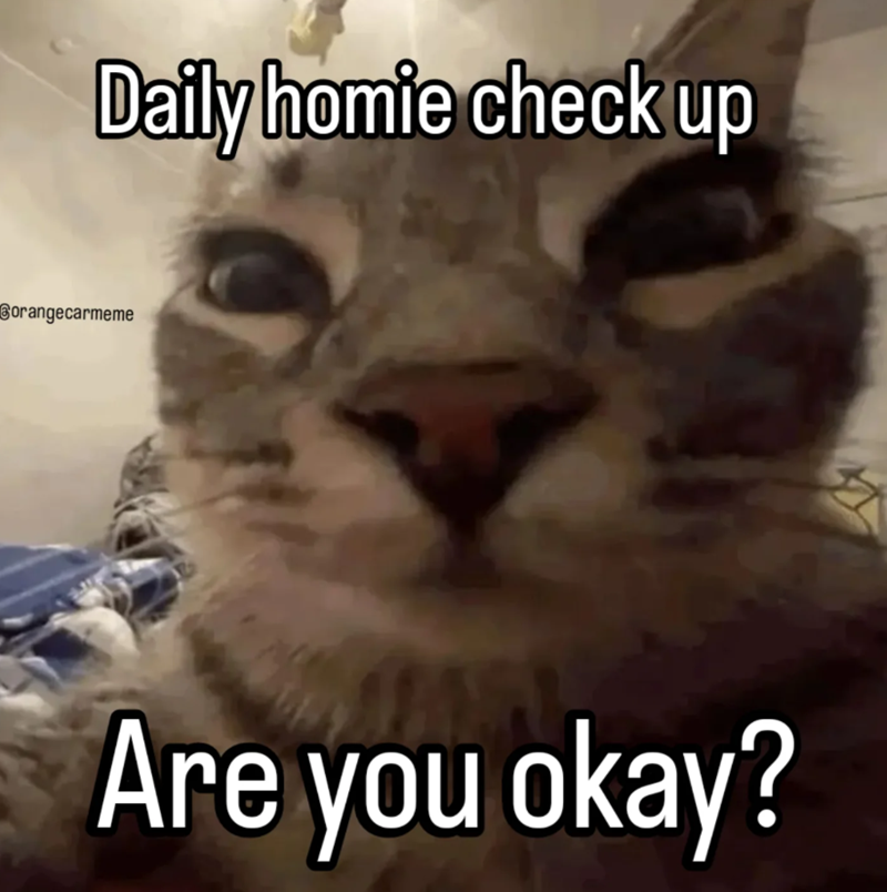 Daily homie check up Borangecarmeme Are you okay?