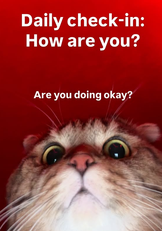 Daily check-in: How are you? Are you doing okay?