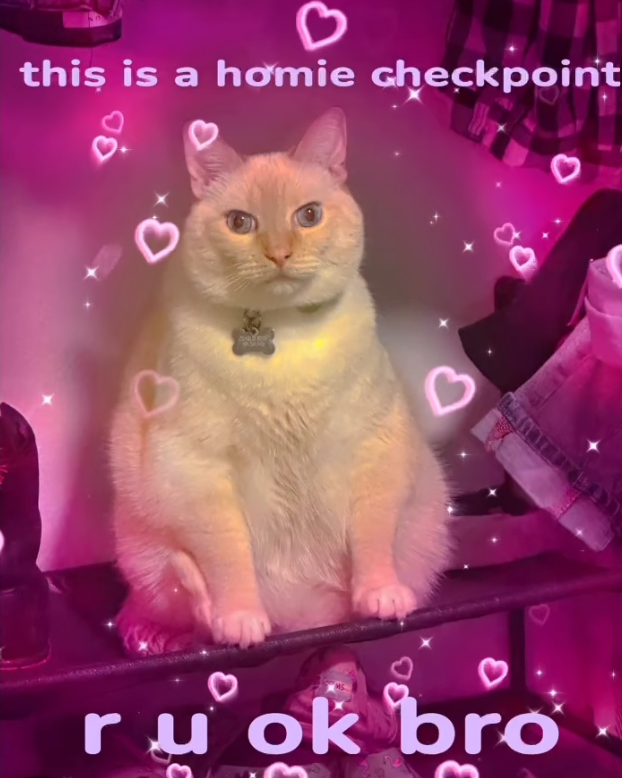 this is a homie checkpoint ru ok bro 3
