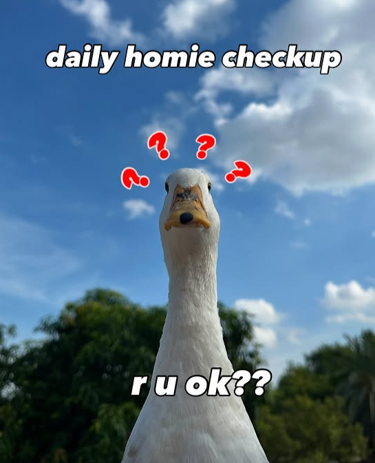 daily homie checkup 88 & ru ok??
