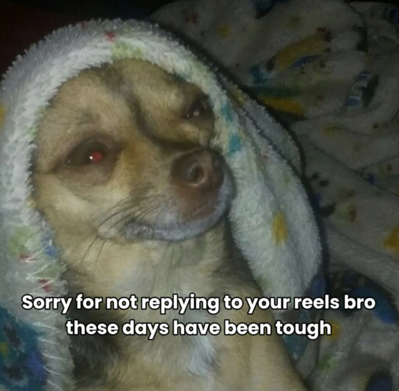 Sorry for not replying to your reels bro these days have been tough