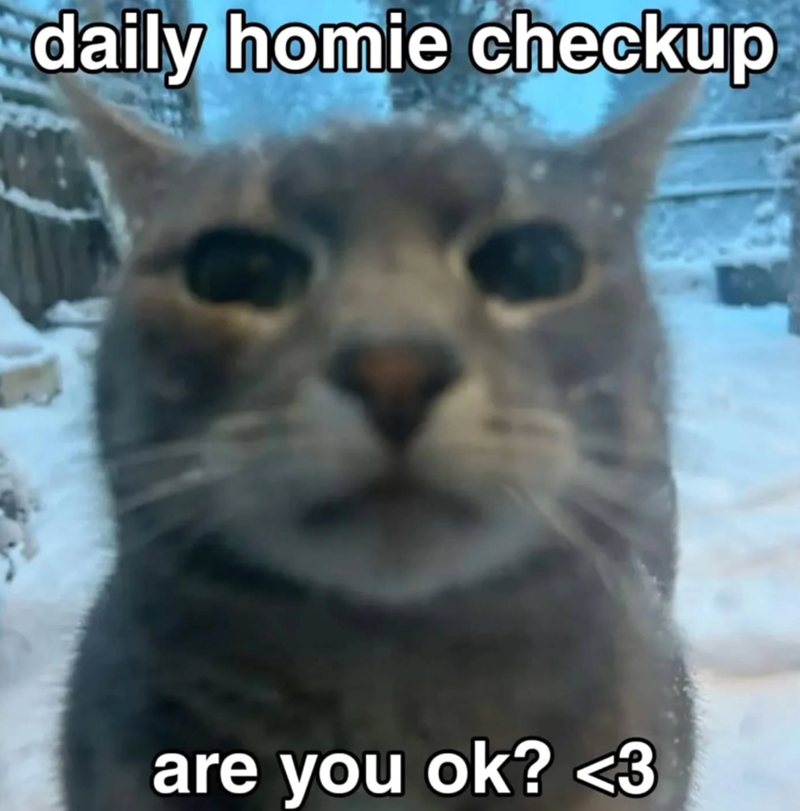 daily homie checkup are you ok? <3