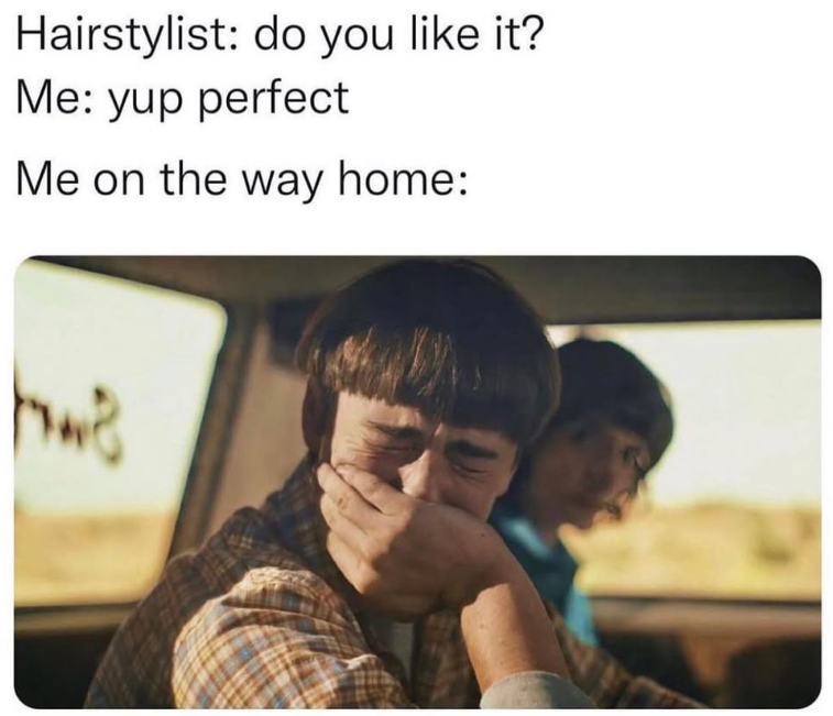 Hairstylist: do you like it? Me: yup perfect Me on the way home: hwa