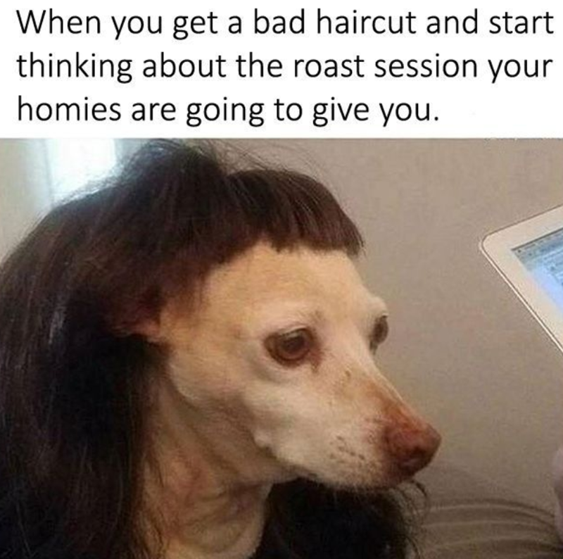 When you get a bad haircut and start thinking about the roast session your homies are going to give you.