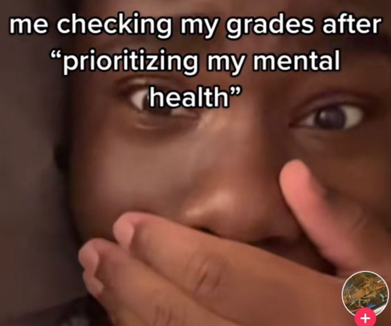 me checking my grades after "prioritizing my mental health" +