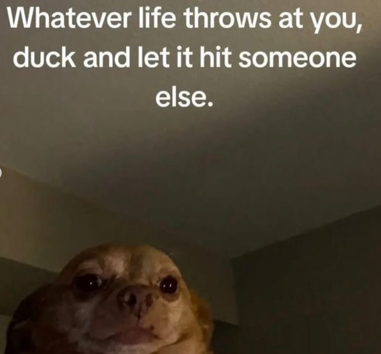 Whatever life throws at you, duck and let it hit someone else.