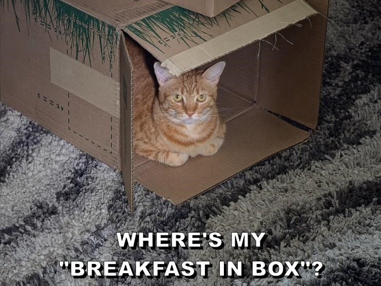 WHERE'S MY "BREAKFAST IN BOX"?