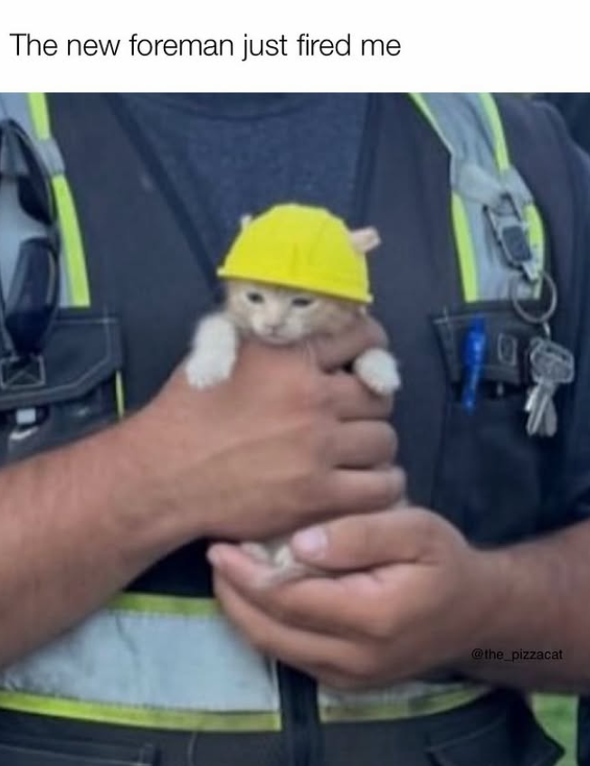 The new foreman just fired me @the_pizzacat