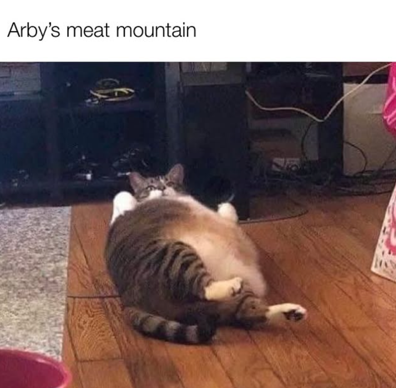 Arby's meat mountain