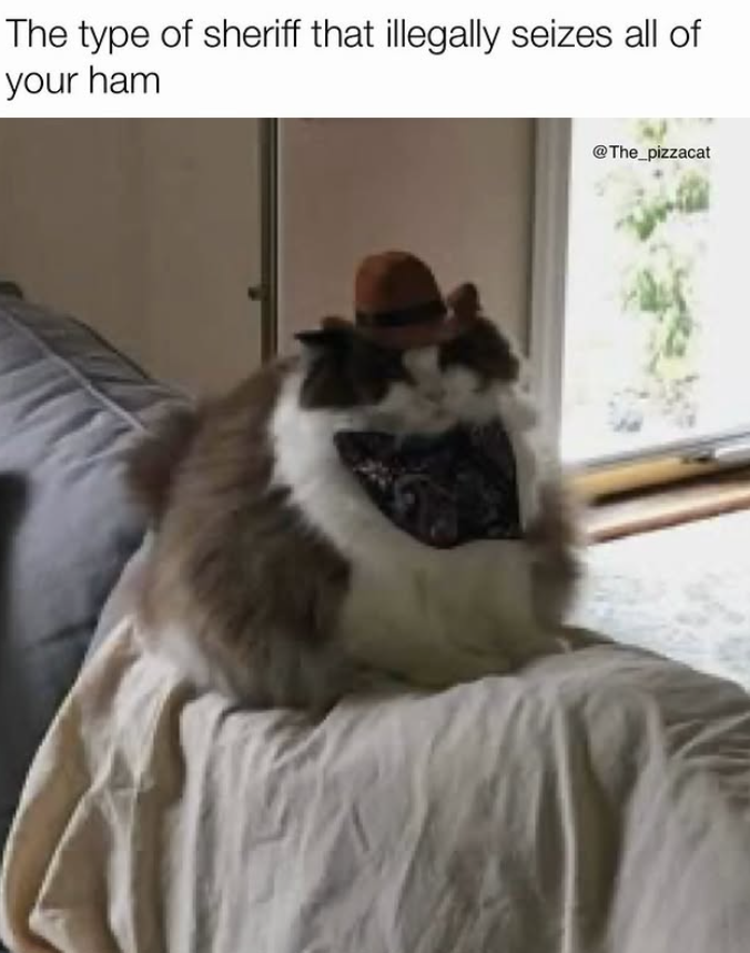 The type of sheriff that illegally seizes all of your ham @The_pizzacat