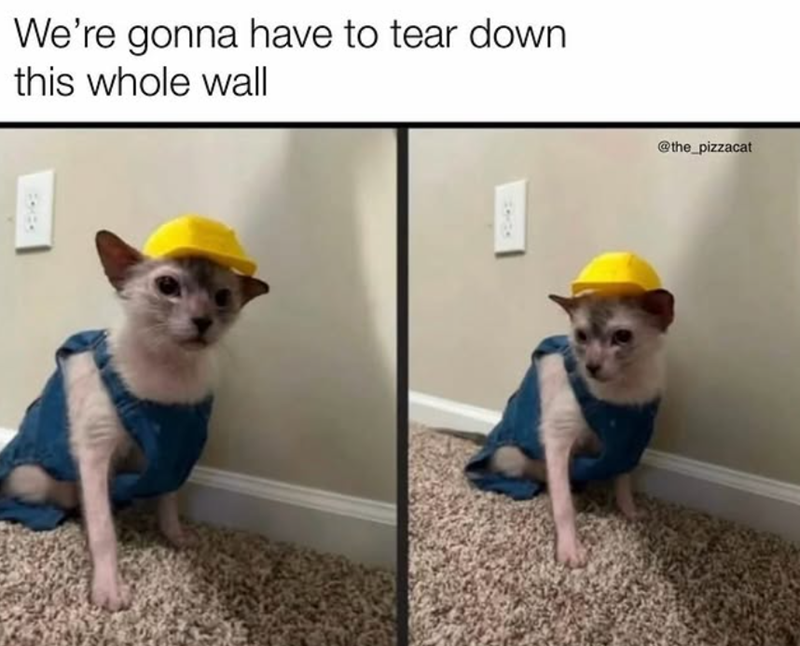 We're gonna have to tear down this whole wall @the_pizzacat