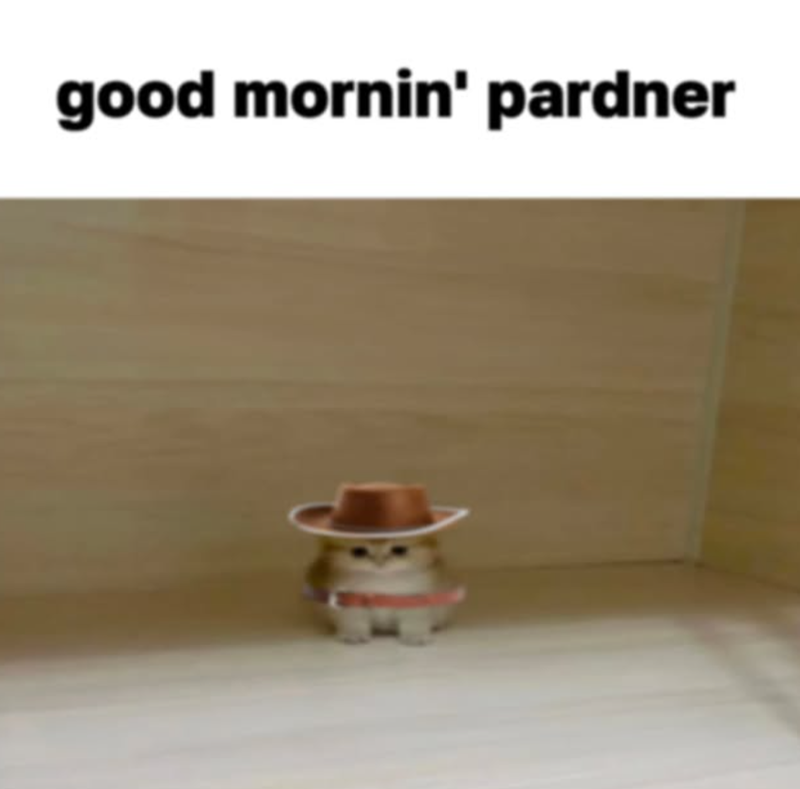 good mornin' pardner