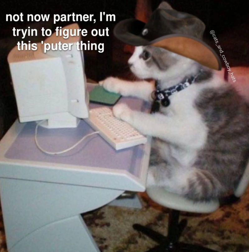 not now partner, I'm tryin to figure out this 'puter thing @cats_and_cowboy_hats