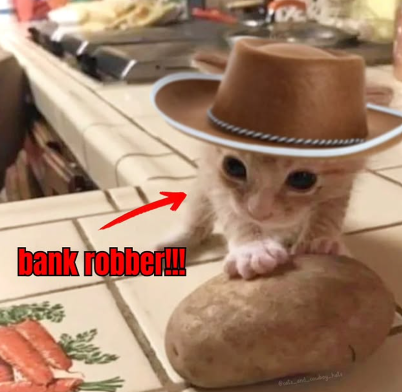 bank robber!!!! @cats_and_cowboy hate