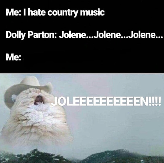 Me: I hate country music Dolly Parton: Jolene...Jolene...Jolene... Me: JOLEEEEEEEEEEN!!!!