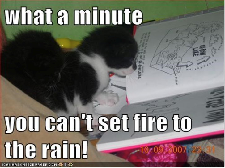 what a minute LAKE OCEAN you can't set fire to the rain! ICANHASCHEEZBURGER.COM 10:09 2007 23.31