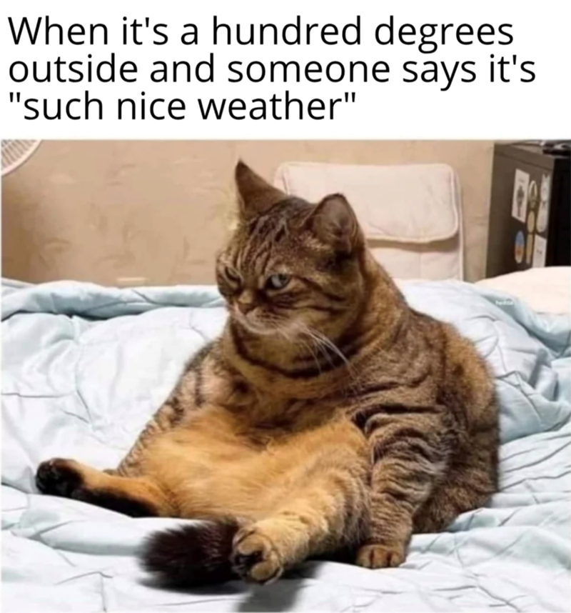 When it's a hundred degrees outside and someone says it's "such nice weather"