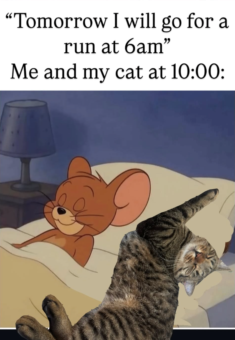 "Tomorrow I will go for a run at 6am" Me and my cat at 10:00: