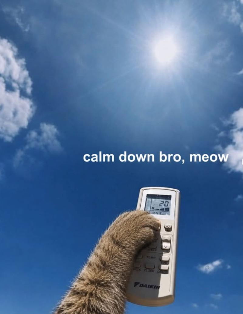calm down bro, meow TEMP 20 CLOCK ONER DAIKIN