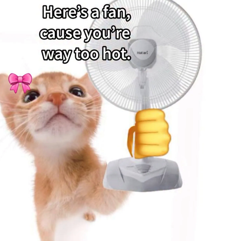 Here's a fan, cause you're way too hot. Hatari
