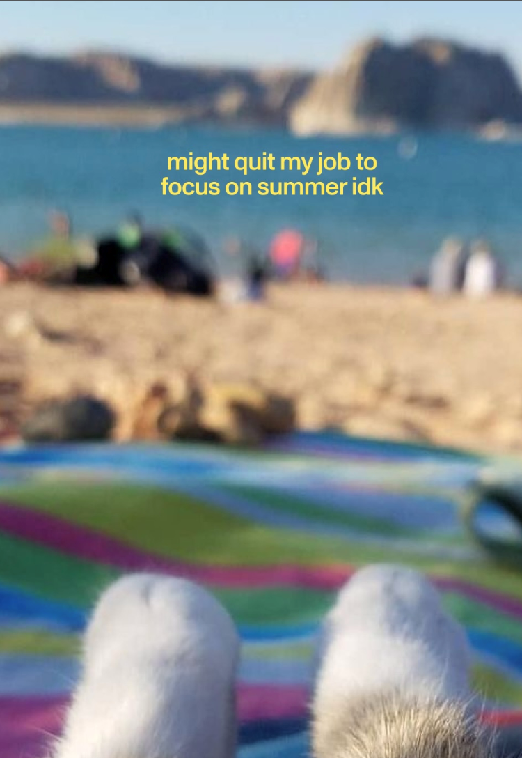 might quit my job to focus on summer idk