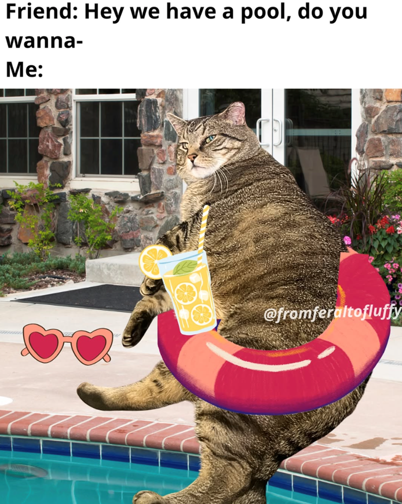 Friend: Hey we have a pool, do you wanna- Me: @fromferaltofluffy