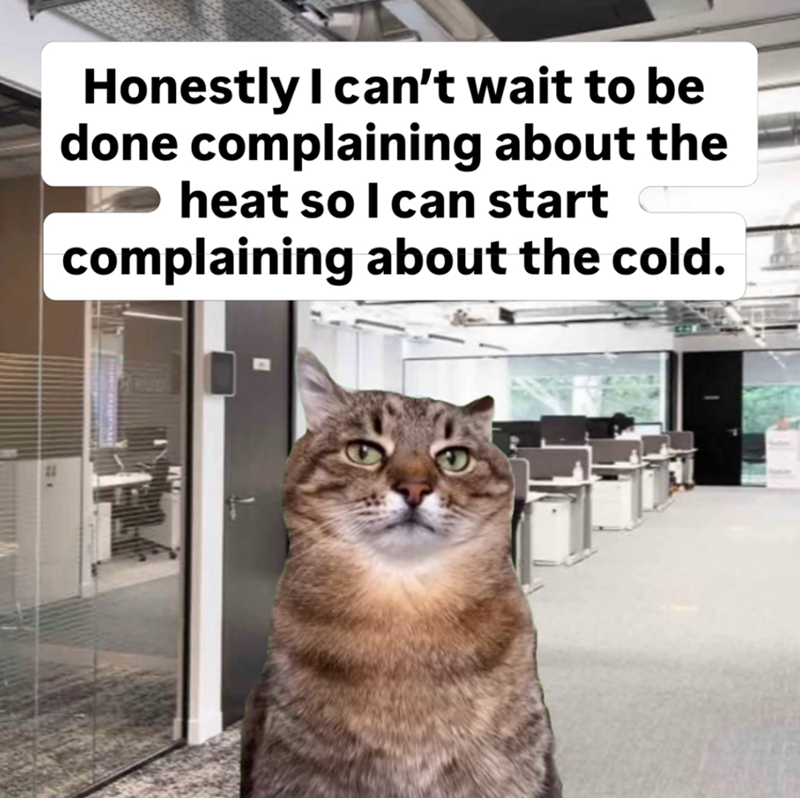 Honestly I can't wait to be done complaining about the heat so I can start complaining about the cold.