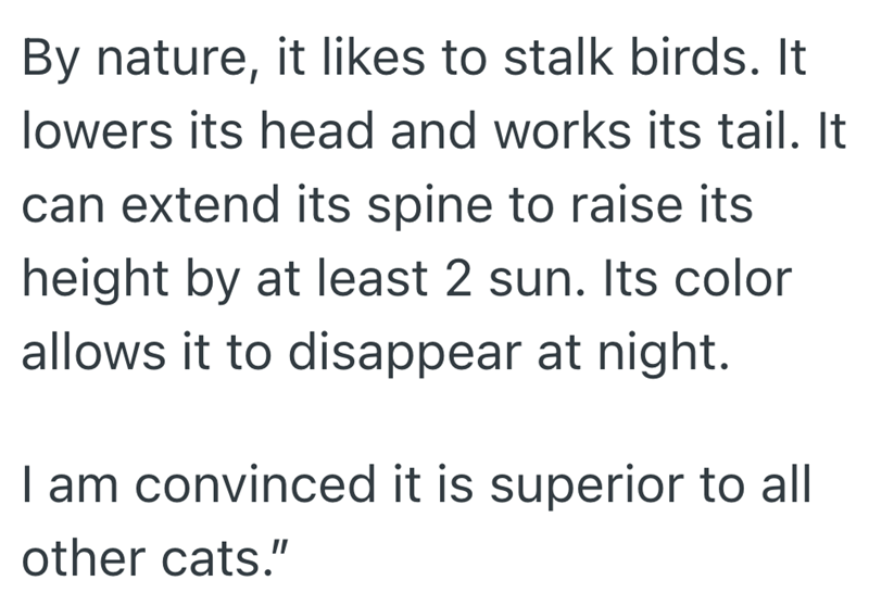 By nature, it likes to stalk birds. It lowers its head and works its tail. It can extend its spine to raise its height by at least 2 sun. Its color allows it to disappear at night. I am convinced it is superior to all other cats."