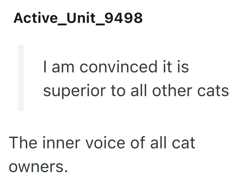 Active_Unit_9498 I am convinced it is superior to all other cats The inner voice of all cat owners.