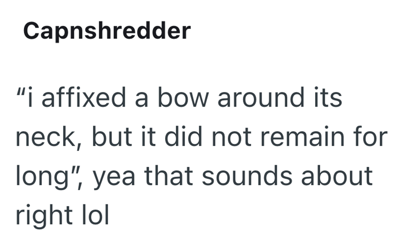 Capnshredder "i affixed a bow around its neck, but it did not remain for long", yea that sounds about right lol