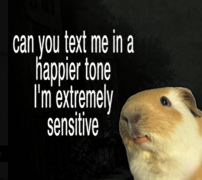 tio can you text me in a happier tone I'm extremely sensitive