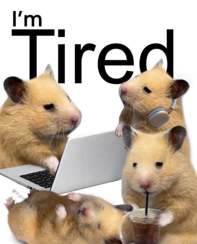 I'm Tired @nurangi hamster