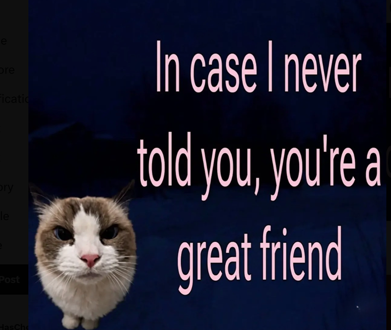 e ore Ficatio bry le Post In case I never told you, you're a great friend HasChe